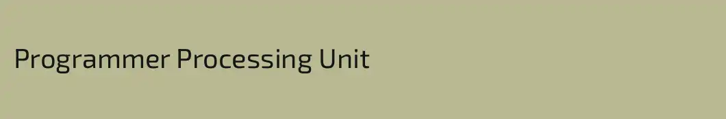 Programmer Processing Unit